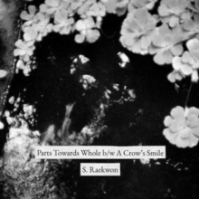 Parts Towards Whole B/W A Crow’s Smile