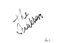 The Scrubbers Vol I