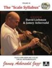 Image for Volume 26: The Scale Syllabus