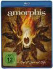 Image for Amorphis: Forging the Land of Thousand Lakes