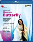 Image for Puccinimadama Butterfly