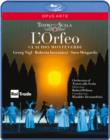 Image for L'Orfeo: Teatro Alla Scala (Alessandrini)