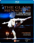Image for The Glass Menagerie: Hamburg Ballet (Di Martino)