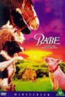 Image for Babe