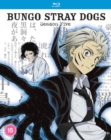 Image for Bungo Stray Dogs: Season Five
