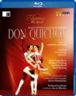 Image for Don Quichot: Dutch National Ballet (Rhodes)
