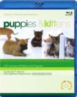 Image for Puppies and Kittens