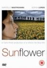 Image for Sunflower