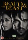 Image for Beauty and the Beast: The First Season