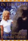 Image for In the Wild: Asian Elephants With Goldie Hawn
