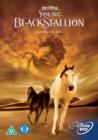 Image for The Young Black Stallion
