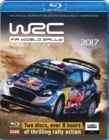 Image for World Rally Championship: 2017 Review