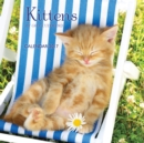 Image for KITTENS BY GREG CUDDIFORD W