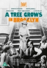 Image for A   Tree Grows in Brooklyn