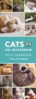 Image for Cats on Instagram S 2019