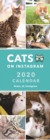 Image for Cats on Instagram Slim Calendar 2020