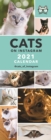 Image for Cats on Instagram Slim Calendar 2021