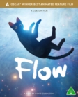 Image for Flow