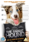 Image for The Bandit Hound