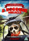 Image for A   Doggone Miracle