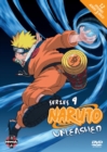 Image for Naruto Unleashed: Series 9 - The Final Episodes
