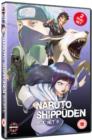 Image for Naruto - Shippuden: Collection - Volume 8