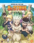 Image for Dr. Stone: Season 1 - Part 1