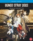 Image for Bungo Stray Dogs: Season 1 & 2