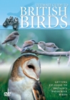 Image for Ultimate Guide to British Birds