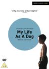 Image for My Life As a Dog