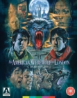 Image for An  American Werewolf in London