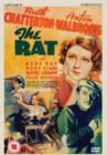 Image for The Rat