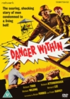 Image for Danger Within