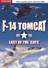 Image for F-14 Tomcat - Last of the 'Cats'