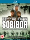 Image for Escape from Sobibor