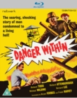 Image for Danger Within