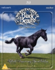 Image for The Adventures of Black Beauty: The Complete Series