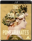 Image for The Colour of Pomegranates
