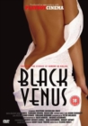 Image for Black Venus