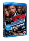 Image for WWE: The Best of Raw and Smackdown 2013
