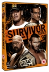 Image for WWE: Survivor Series - 2013