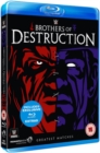 Image for WWE: Brothers of Destruction