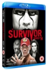 Image for WWE: Survivor Series - 2014