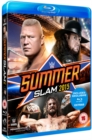 Image for WWE: Summerslam 2015