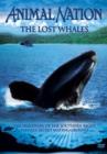 Image for Animal Nation: The Lost Whales