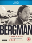 Image for Bergman: A Year in a Life