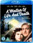 Image for A   Matter of Life and Death