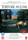 Image for Tortoise in Love