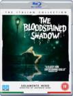 Image for The Bloodstained Shadow