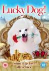 Image for Lucky Dog